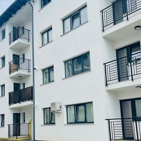 Appartement Sisi à Suceava Extérieur photo